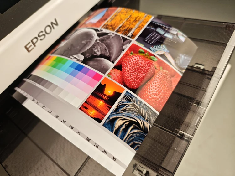 EPSON SureLab SL-D1000 demo Rudy Lis (3).jpg