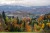 DSC01153.jpg