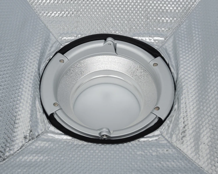ring-inside_14911_l.png