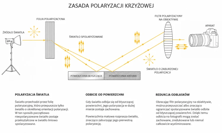 Zasada polaryzacji krzyżowej.png