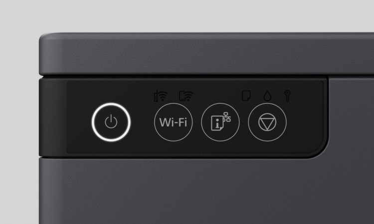 fet_12_panel_a_rny.jpg