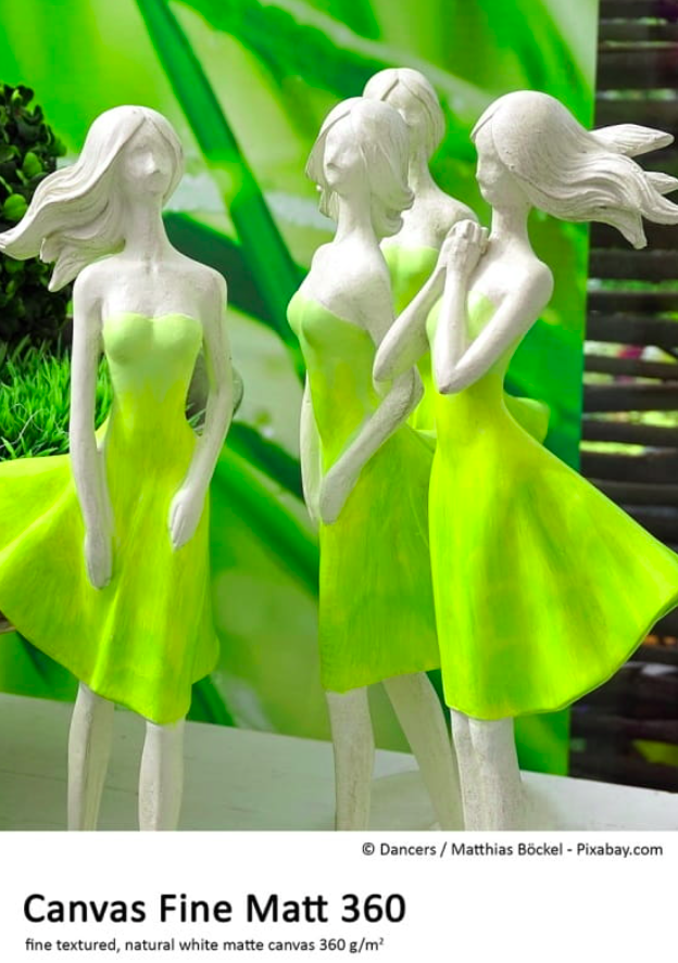 FOMEI Canvas Matt 360